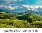 Munnar, Kerala, India - October 12, 2007 : A picturesque view of landscapes of hillocks with tea plantations at Munnar,