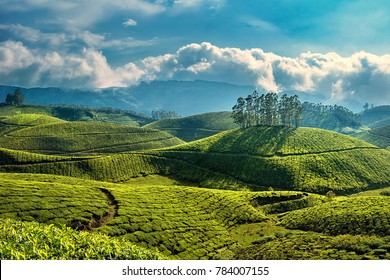 18,233 Hills In Kerala Images, Stock Photos & Vectors | Shutterstock