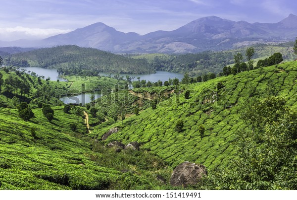 Munnar Kerala India Tea Plantation Lakes Stock Photo Edit Now 151419491