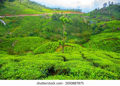 850 Best tea india Images, Stock Photos & Vectors | Shutterstock