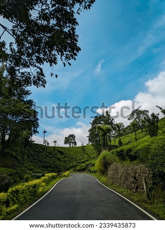 Munnar is a well-known place in India, and it is located in the state of Kerala,
Munnar is a picturesque hill station known for its breathtaking landscapes, lush tea gardens, and cool climate.........