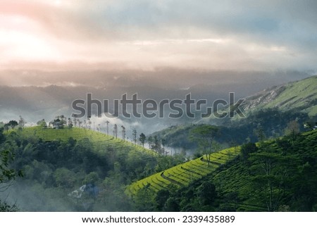 Munnar is a well-known place in India, and it is located in the state of Kerala,
Munnar is a picturesque hill station known for its breathtaking landscapes, lush tea gardens, and cool climate.........