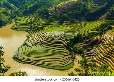 Muonghum, Batsat, Laocai, Vietnam, October 2021 The heart shape terraced field in the Northern Mountain area of Vietnam