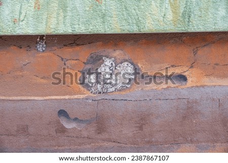 Mural graffiti of the base of a high-rise building with painted brown earth layers and a family of mice in their underground burrow with ears of grain, painted in silicate paint, copy space