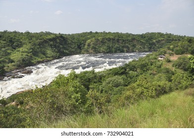 Murchison Falls, The White Nile River Attributes