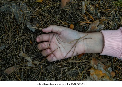 Murder in the woods.The hand of a dead teenager in the forest on the ground. Victim of violence. The concept of child abuse. Close up. - Shutterstock ID 1735979363