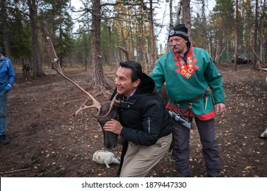 MURMANSK, RUSSIA - SEP 18, 2019: Unidentified Tourist Play With Reindeer At Sami Village, A Finno-Ugric People Inhabiting Sápmi, Which Today Encompasses Large Northern Parts Of Norway, Sweden, Russia