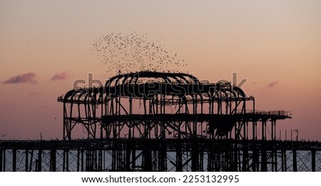 Murmuration of starlings over the ruins of West Pier, Brighton UK. Photographed at dusk, January 2023.