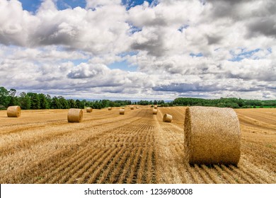 Murphy's Farm, Essa, Ontario