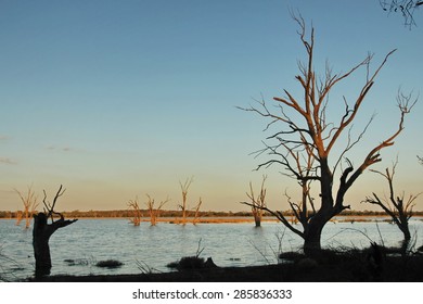 Murray River