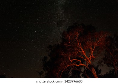 Murray River Camping Holiday Friends Hikers Beautiful Starry Sky At Night In Victoria Australia