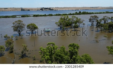 Murray River Floods in Reserve Stock foto © 