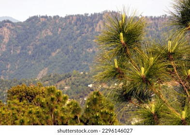 Murree Hills, a mountain resort town, located in the Galyat region of the Pir Panjal Range, Pakistan - Shutterstock ID 2296146027