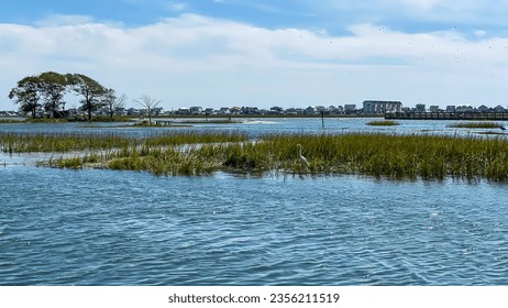 Murrell's Inlet in the summer in South Carolina
					