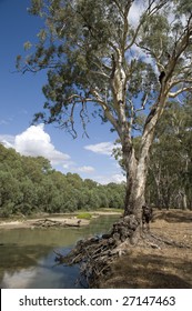 Murrumbidgee River At Darlington Point ,Australia