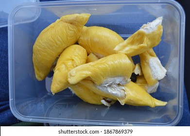 Musang King Durian In Tupperware