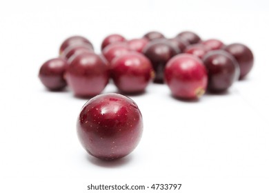 Muscadine Grapes On A White Background.