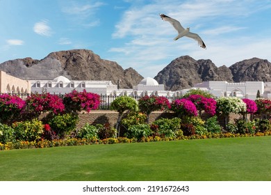 Muscat Sultan Palace Building Architecture, Oman
