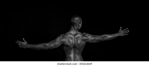 Muscle Back Stock Photo 355614659 | Shutterstock