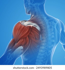 Muscle pain, arm pain, burning sensation, weak muscles, Office syndrome, Muscle tear caused by exercise, red inflamed zone. man having arm pain. Concept of Health Care. - Powered by Shutterstock