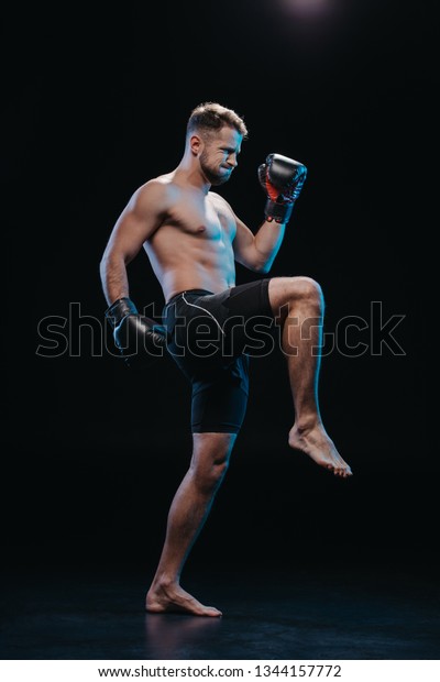 Muscular Barefoot Strenuous Boxer Boxing Gloves Stock Photo 1344157772 ...