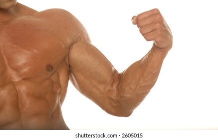 Muscular Body Builder