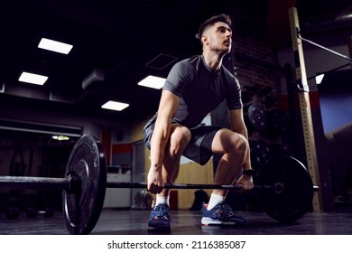 A muscular bodybuilder lifting barbell in gym and working out. - Powered by Shutterstock