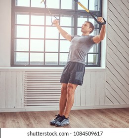 Muscular Fitness Male Doing Exercise With TRX. Functional Workout At Home With TRX Loops.