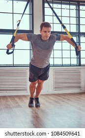 Muscular Fitness Male Doing Exercise With TRX. Functional Workout At Home With TRX Loops.