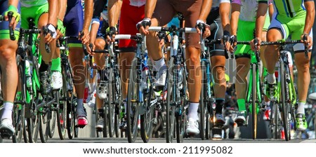 muscular legs of cyclists who ride during the international race