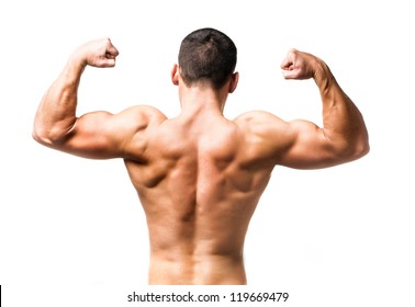muscular male back over white background