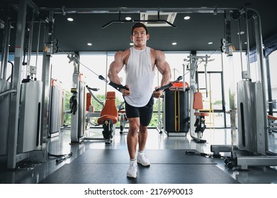 Muscular man, Bodybuilder Asian man workout doing cable rope pushdowns. Tricep arm exercises balanced upper body pull-downs with cable machine weight lifting in gym, Fitness exercising concept. - Powered by Shutterstock