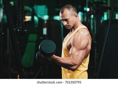 Muscular Man Working Out In Gym Doing Exercises With Dumbbells At Biceps, Strong Male Torso Abs