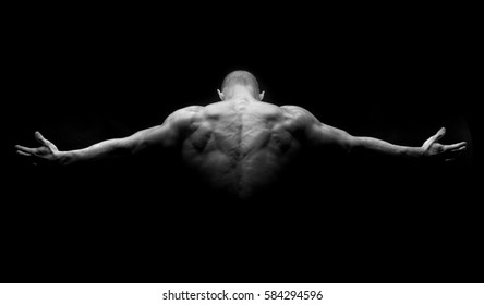 Muscular man's back in a dark background - Shutterstock ID 584294596