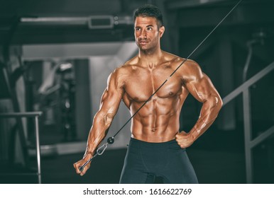 Muscular Men Bodybuilder Lifting Weights Gym Stock Photo (Edit Now ...