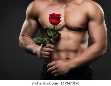 Muscular Shirtless Man Torso With Rose Flower, Sexy Athletic Boy Naked Body Studio Shot