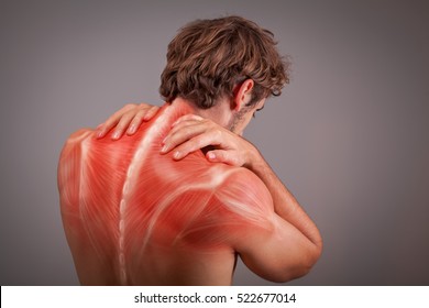 Musculature of athlete back and shoulders - Shutterstock ID 522677014
