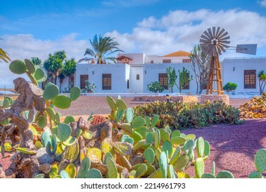 Museum Of Majorero Cheese At Fuerteventura, Canary Islands, Spain.