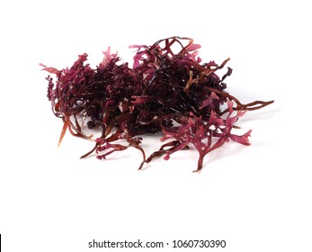 MUSGO ESTRELLADO – False Irish Moss -  Carrageen Moss

Binomial name: Mastocarpus stellatus. It is a sea vegetable or edible seaweed, ideal in preparing salads, marinades and sauces.