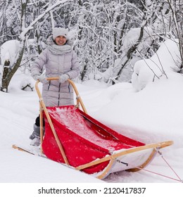 Musher Woman Hiding Behind Sled At Dog Race On Snow In Winter.