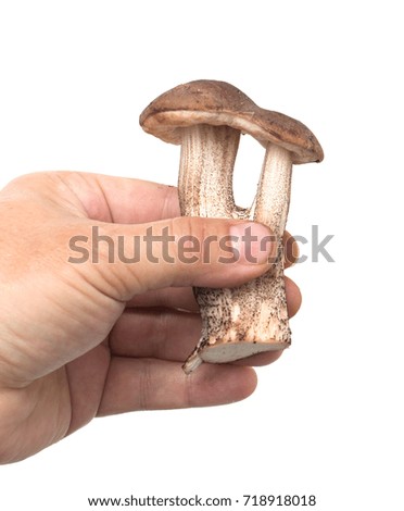 Similar – Image, Stock Photo mushroom Food