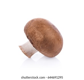 Mushroom Champignon Isolated On White Background