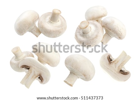 Mushroom champignon isolated on white background