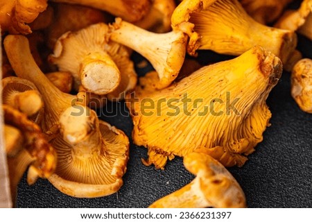 mushroom chanterelle fresh plant mushrooms delicious chanterelles food snack on the table copy space food background rustic top view 