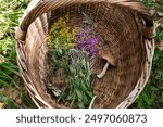 mushroom foraging in Estonia with wildflowers and a basket