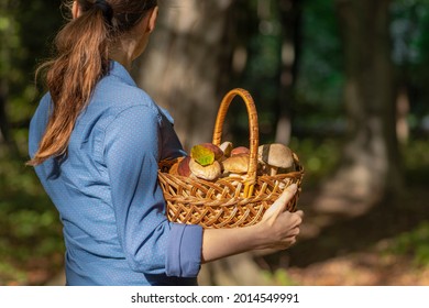 Mushroom hunting time. Young woman holding rural farm-style basket full of boletus mushrooms autumn harvest. Edible healthy fungus picking season outdoor outing activity in the forest on a sunny day. - Shutterstock ID 2014549991