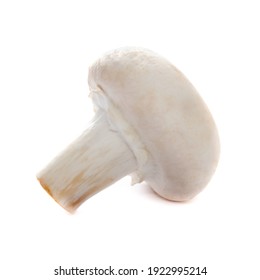 Mushroom Isolated On A White Background