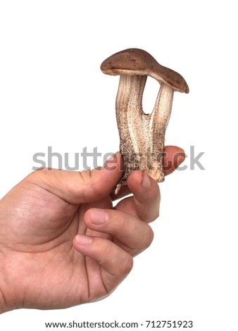 Similar – Image, Stock Photo mushroom Food