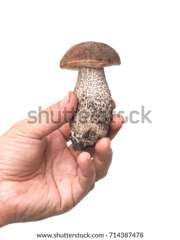 Similar – Image, Stock Photo mushroom Food