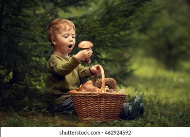 Mushroom picker. Cute little boy with basket of mushrooms and a surprised facial expression. Image with selective focus and toning
